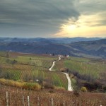 piemonte-wine-road