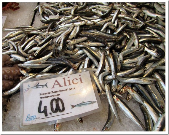 Swimming in Alici (Anchovies) at the Rialto Fish Market