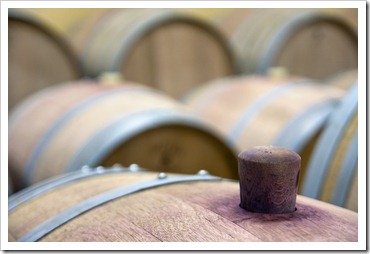 Wine barrels in a cantina