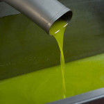 Freshly pressed olio nuovo (new oil)