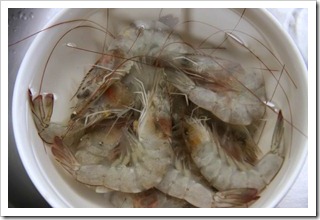 Ooooh, nice shrimp.