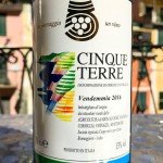 The Cantina Cinque Terre Bianco 'normale' wine was remarkably good and a decent value.