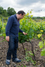 Giuseppe Russo checking his vineyard