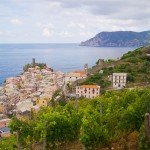 The vineyards for the production of this Cinque Terre wine grow above the villages.