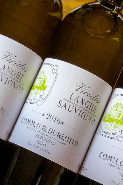 Fantastic and rare Sauvignon Blanc from Burlotto.